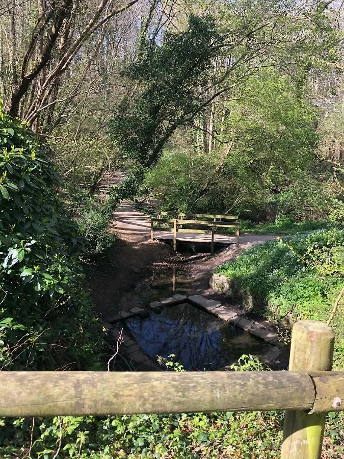 Appartement Au Calme Nature Et Centre Ville Quimper